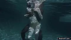 Reproduzir Adoração do grande galo negro: Haley Reed e sua buceta raspada